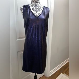 Banana Republic Navy Blue Sequin Mini Dress